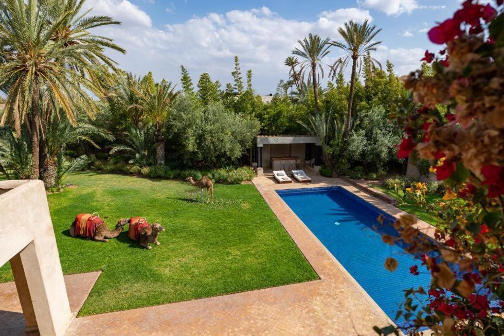 Villa Sahar Palmeraie Avec Piscine Chauffee ! Marrakesh Buitenkant foto
